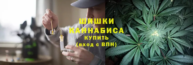 как найти закладки  Саранск  Конопля OG Kush 